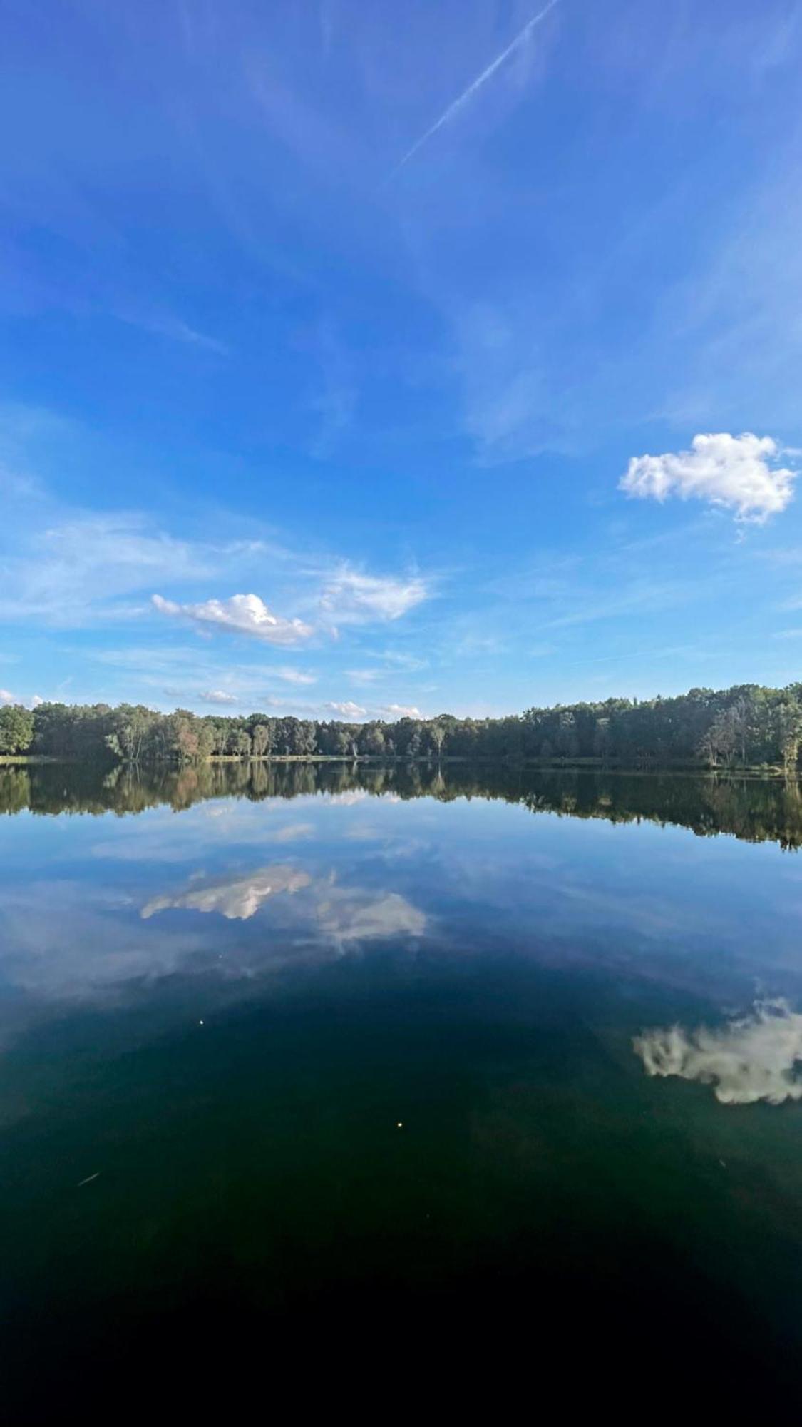 Boshuisje Pinus Sonnevijver Residences Lanaken Bagian luar foto