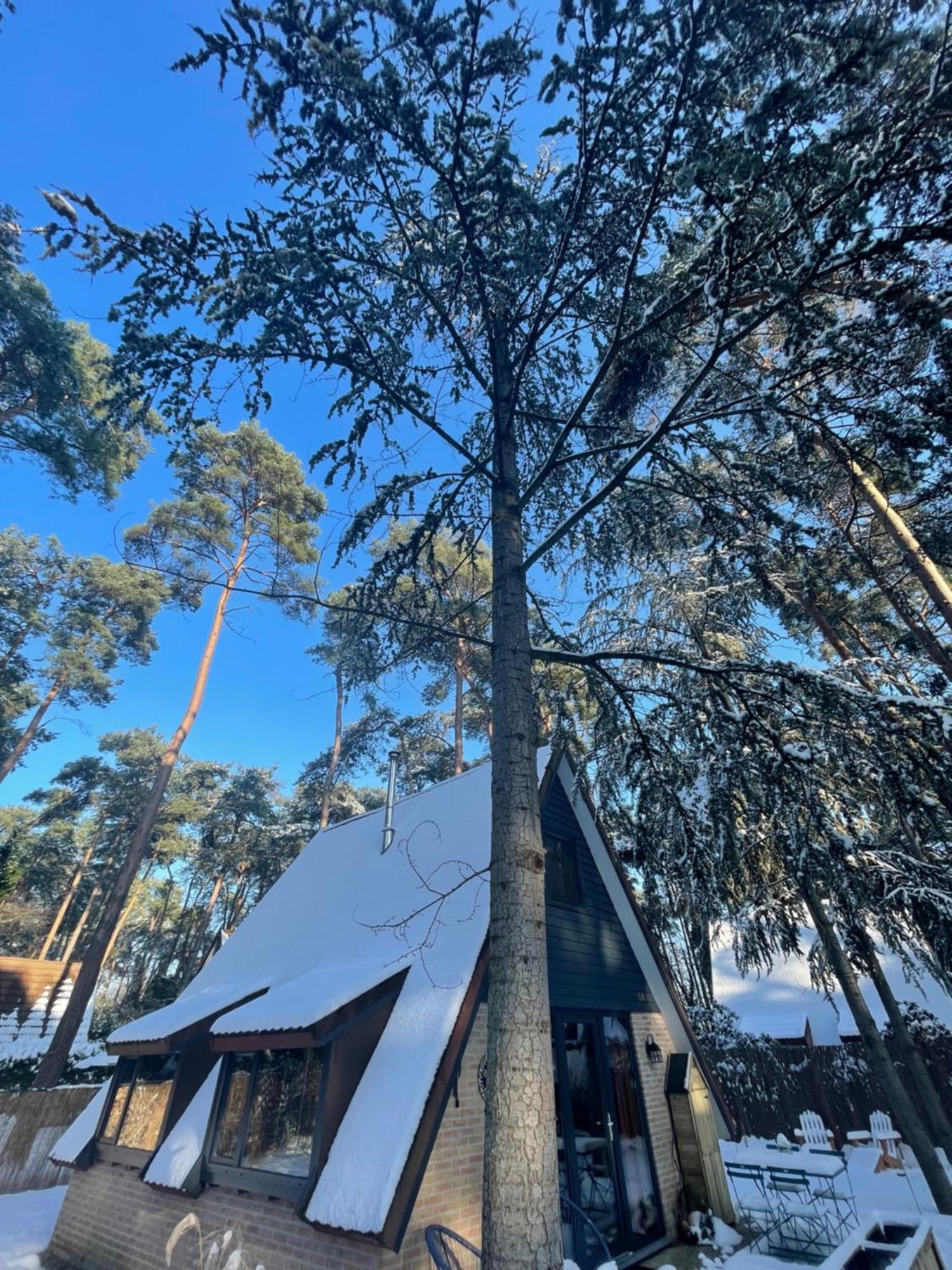 Boshuisje Pinus Sonnevijver Residences Lanaken Bagian luar foto